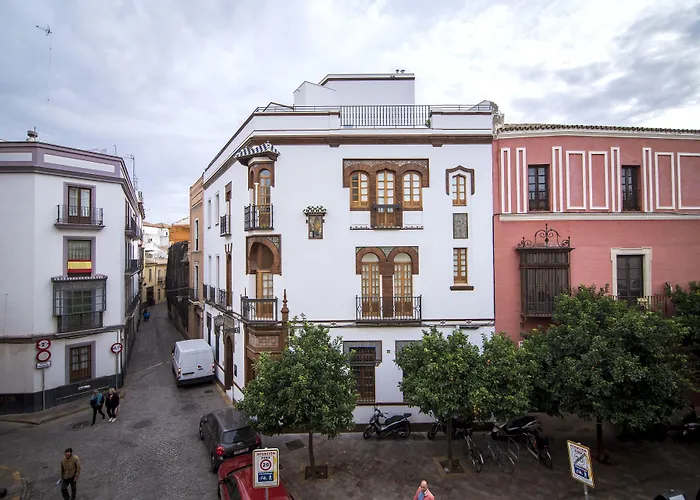 Hotel Petit Palace Santa Cruz 4*
