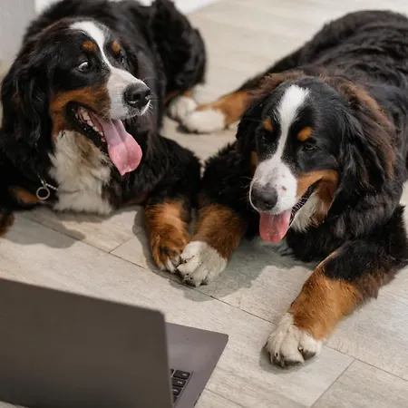 Petit Palace Santa Cruz Sevilla