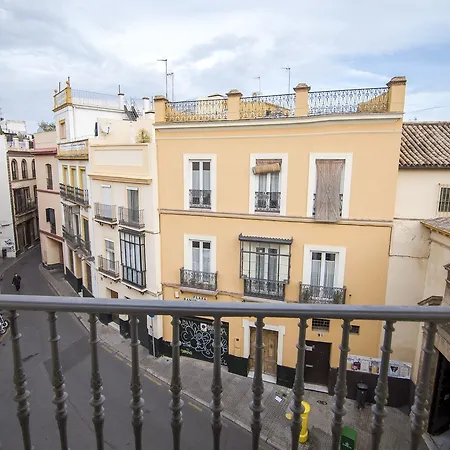 Hotel Petit Palace Santa Cruz 4*