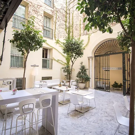 Hotel Petit Palace Santa Cruz